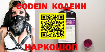 гашик Моздок