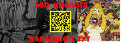 шишки Можга