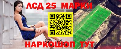 шишки Можга