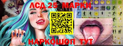 гашик Моздок