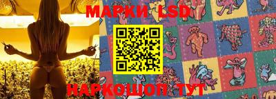 шишки Можга