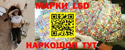 гашик Моздок