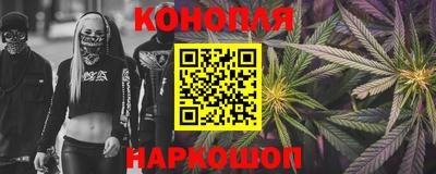 шишки Можга
