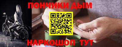 гашик Моздок
