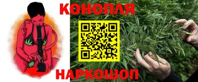 гашик Моздок