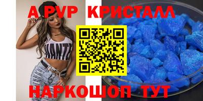 гашик Моздок