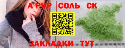 гашик Моздок