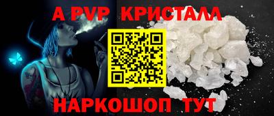 гашик Моздок
